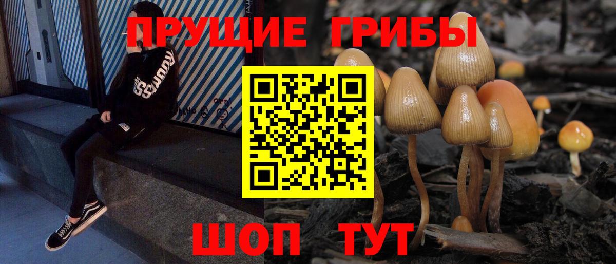 Псилоцибиновые грибы Cubensis  Вход с VPN  Дзержинский 